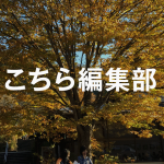 保育園に関する二つのニュース