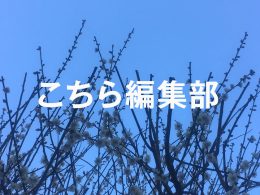 憲法と、2026総選挙(西村リユ)