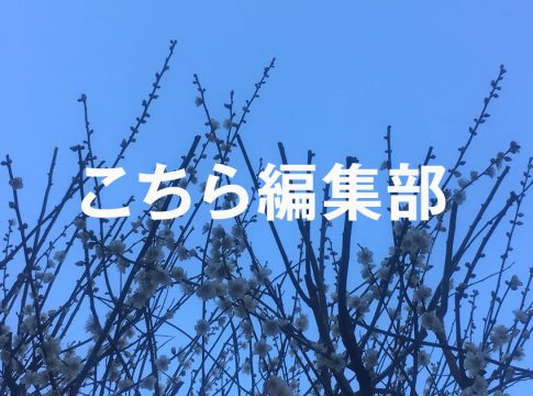 憲法と、2026総選挙(西村リユ)